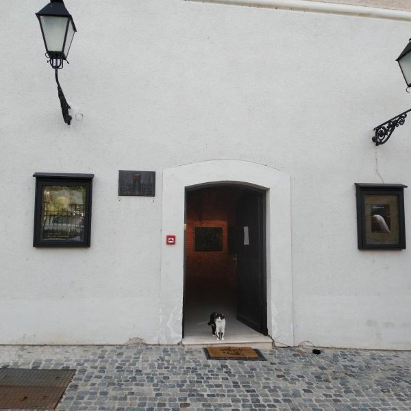 Wyjazd studyjny na the Academy of Arts and Culture